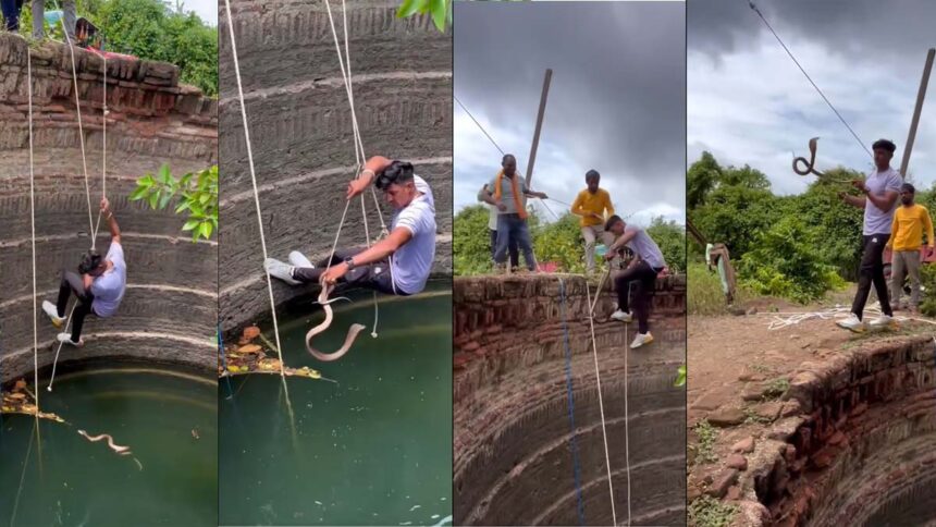 ಜೀವದ ಹಂಗು ತೊರೆದು ಬಾವಿಗೆ ಬಿದ್ದಿದ್ದ ನಾಗರಹಾವು ರಕ್ಷಿಸಿದ ಉರಗ ಪ್ರೇಮಿ!